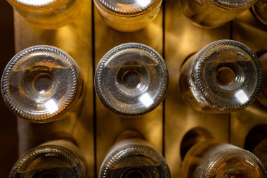 Derin ve uzun yeraltı mağaralarındaki raflarda şişeler şarap ve siyah üzümlerden şampanya yapıyor Reims, Champagne, Fransa 'da