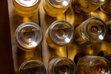 Derin ve uzun yeraltı mağaralarındaki raflarda şişeler şarap ve siyah üzümlerden şampanya yapıyor Reims, Champagne, Fransa 'da