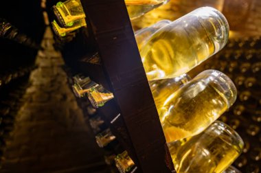 Derin ve uzun yeraltı mağaralarındaki raflarda şişeler şarap ve siyah üzümlerden şampanya yapıyor Reims, Champagne, Fransa 'da