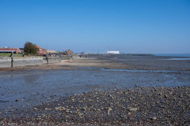 Gelgit zamanı Yerseke 'deki Oosterschelde' ye bakın, çeşitli yabani deniz kabukları ve istiridyelerin toplanıp yenmesine izin veriliyor, Zeeland, Hollanda