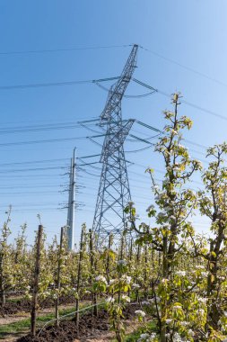 Yüksek voltaj hatları ve elektrik kuleleri Zeeland 'deki nükleer enerji santralinden güç transferi Hollanda' daki elektrik üretimi