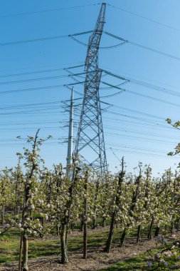 Yüksek voltaj hatları ve elektrik kuleleri Zeeland 'deki nükleer enerji santralinden güç transferi Hollanda' daki elektrik üretimi