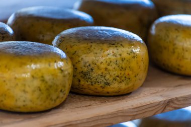 Hollanda, Kuzey Hollanda 'daki peynir fabrikasında inek sütünden elde edilen sert peynirli ahşap raflar, eski Hollanda peynir çiftliği.