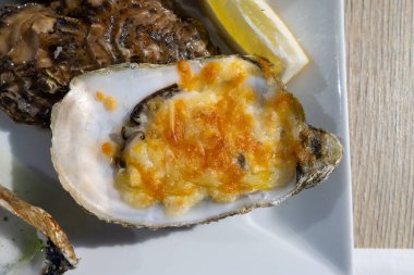 Yerseke 'de canlı istiridye, Oosterschelde, Zeeland, Hollanda' da taze Zeeuwse kremalı istiridye yemek ya da tatmak.