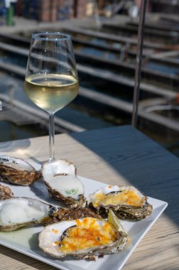 Yerseke 'de canlı istiridye, Oosterschelde, Zeeland, Hollanda' da taze Zeeuwse kremalı istiridye yemek ya da tatmak.