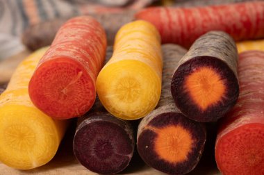 Renkli taze çiğ mor, sarı, kırmızı ve mor turuncu havuç Hollanda 'daki seradan sebze kökü, sağlıklı besin maddeleri.