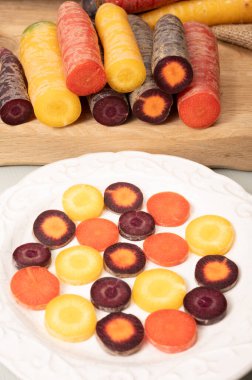 Renkli taze çiğ mor, sarı, kırmızı ve mor turuncu havuç Hollanda 'daki seradan sebze kökü, sağlıklı besin maddeleri.