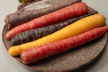 Renkli taze çiğ mor, sarı, kırmızı ve mor turuncu havuç Hollanda 'daki seradan sebze kökü, sağlıklı besin maddeleri.