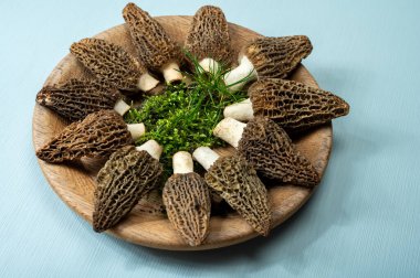 Çiğ bahar mantarları morşeller ya da gerçek mantarlar gurme aşçılar için yenilebilir kese mantarları, Katalan ve Fransız mutfağında, yenilebilir yabani mantarlar