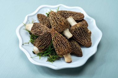 Çiğ bahar mantarları morşeller ya da gerçek mantarlar gurme aşçılar için yenilebilir kese mantarları, Katalan ve Fransız mutfağında, yenilebilir yabani mantarlar