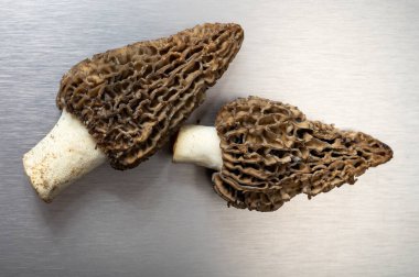 Çiğ bahar mantarları morşeller ya da gerçek mantarlar gurme aşçılar için yenilebilir kese mantarları, Katalan ve Fransız mutfağında, yenilebilir yabani mantarlar