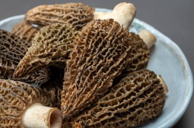 Çiğ bahar mantarları morşeller ya da gerçek mantarlar gurme aşçılar için yenilebilir kese mantarları, Katalan ve Fransız mutfağında, yenilebilir yabani mantarlar