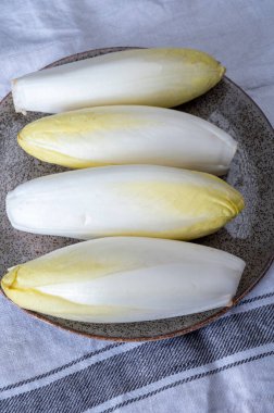 Taze organik hindiba salatası yenmeye hazır Belçika ve Hollanda 'da geleneksel kış mevsimi yemekleri