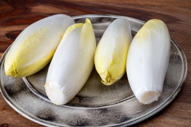 Taze organik hindiba salatası yenmeye hazır Belçika ve Hollanda 'da geleneksel kış mevsimi yemekleri