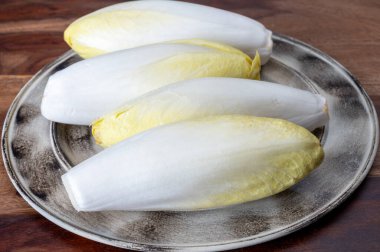 Taze organik hindiba salatası yenmeye hazır Belçika ve Hollanda 'da geleneksel kış mevsimi yemekleri