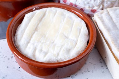 Fransız dauphinois peynir koleksiyonu, Saint Marcellin, kremalı Saint- Fransa 'nın Rhne-Alpes bölgesinden beyaz küflü Felicien inek sütü peyniri