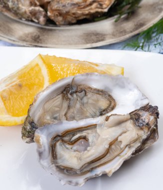 Taze çiğ tabak Fine de Claire Oleron istiridye kabukları istiridye çiftliği köyü, Marennes Oleron bölgesi, Fransa, deniz ürünleri konsepti.
