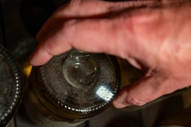 Şampanya şişelerinin elle delik deşik edilmesi geleneksel köpüklü şarap üretimi, şampanya üretimi endüstrisi, Avrupa 'nın bir parçası. İşçinin elleri.