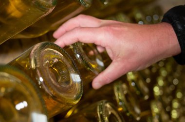 Şampanya şişelerinin elle delik deşik edilmesi geleneksel köpüklü şarap üretimi, şampanya üretimi endüstrisi, Avrupa 'nın bir parçası. İşçinin elleri.