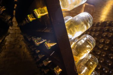 Derin ve uzun yeraltı mağaralarındaki raflarda şişeler şarap ve siyah üzümlerden şampanya yapıyor Reims, Champagne, Fransa 'da