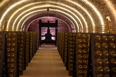 Derin ve uzun yeraltı mağaralarındaki raflarda şişeler şarap ve siyah üzümlerden şampanya yapıyor Reims, Champagne, Fransa 'da