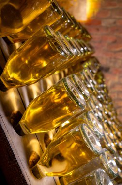 Derin ve uzun yeraltı mağaralarındaki raflarda şişeler şarap ve siyah üzümlerden şampanya yapıyor Reims, Champagne, Fransa 'da