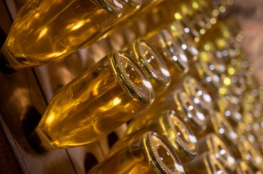 Derin ve uzun yeraltı mağaralarındaki raflarda şişeler şarap ve siyah üzümlerden şampanya yapıyor Reims, Champagne, Fransa 'da