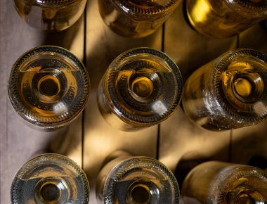 Derin ve uzun yeraltı mağaralarındaki raflarda şişeler şarap ve siyah üzümlerden şampanya yapıyor Reims, Champagne, Fransa 'da