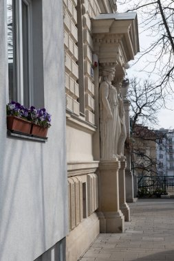 İlkbaharda Viyana 'da yürüyüş, güzel binalar, müzeler ve caddeler, şehir manzarası, ilkbaharda Avusturya başkenti