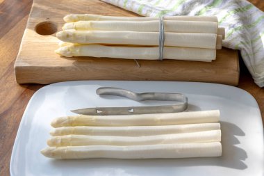 Hollandalı çiftçiler yüksek kaliteli ürünler, yıkanmış ve soyulmuş taze beyaz kuşkonmaz, mevsimlik vejetaryen gıdalar, gün ışığında