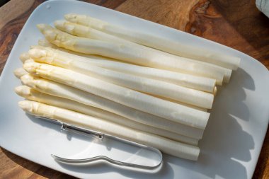 Hollandalı çiftçiler yüksek kaliteli ürünler, yıkanmış ve soyulmuş taze beyaz kuşkonmaz, mevsimlik vejetaryen gıdalar, gün ışığında