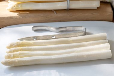 Hollandalı çiftçiler yüksek kaliteli ürünler, yıkanmış ve soyulmuş taze beyaz kuşkonmaz, mevsimlik vejetaryen gıdalar, gün ışığında