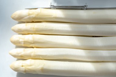 Hollandalı çiftçiler yüksek kaliteli ürünler, yıkanmış ve soyulmuş taze beyaz kuşkonmaz, mevsimlik vejetaryen gıdalar, gün ışığında