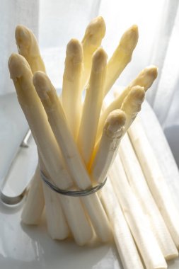 Hollandalı çiftçiler yüksek kaliteli ürünler, yıkanmış ve soyulmuş taze beyaz kuşkonmaz, mevsimlik vejetaryen gıdalar, gün ışığında