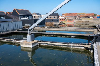 Zeeuwse Creuse marka istiridyelerin Zeeland, Yerseke, Hollanda 'daki Oosterschelde istiridye üreme çiftliğinde toplandığı kutularca olgun ve satılmaya hazır kutu.