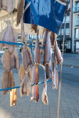 Oostende, Belçika 'da deniz gezintisine havayla ya da tuzlanmış morina balığıyla süslenmiş.