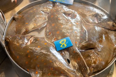 Oostende, Kuzey Denizi, Belçika 'da günün avı. Taze turbot, bot, bitkisel balıklar yakın plan.