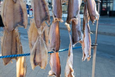 Oostende, Belçika 'da deniz gezintisine havayla ya da tuzlanmış morina balığıyla süslenmiş.