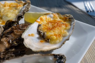 Yerseke 'de canlı istiridye, Oosterschelde, Zeeland, Hollanda' da taze Zeeuwse kremalı istiridye yemek ya da tatmak.