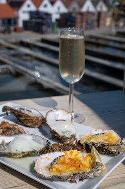 Yerseke 'de canlı istiridye, Oosterschelde, Zeeland, Hollanda' da taze Zeeuwse kremalı istiridye yemek ya da tatmak.