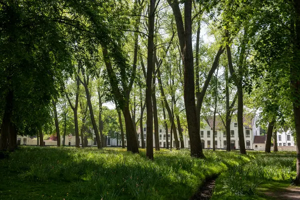 Bruges, Flanders 'da dantel ören rahibeler için ortaçağ manastırı, küçük beyaz evler ve Belçika' nın manastır duvarları içinde bir park.