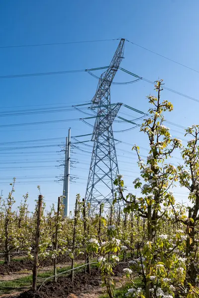 Yüksek voltaj hatları ve elektrik kuleleri Zeeland 'deki nükleer enerji santralinden güç transferi Hollanda' daki elektrik üretimi
