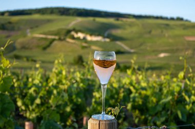 Gün batımında bir bardak gül ya da pembe köpüklü şarap, büyük rezerv, Ay-Şampanya 'da şampanya eski şaraplarda yeşil tepe üzüm bağlarında Vallee de la Marne, Fransa' nın Şampanya Bölgesi 'nde köy yapmak