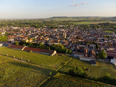 Ay-Champange, Vallee de la Marne, Champagne District, Fransa yakınlarındaki eski yeşil büyük cru cru tepeli şampanya bağlarına, Pinot noir üzüm fabrikalarına ve köydeki eski evlere bakın.