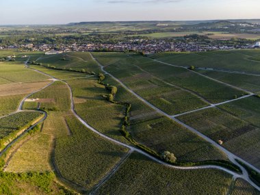Şampanyalı Ay-Champange, Vallee de la Marne köyü yakınlarındaki Grand Cru tepe üzüm bağlarında yetişen pinot noir üzümlerinin hava manzarası, Fransa 'nın şampanya bölgesi, sıra sıra üzüm bitkileri, günbatımı