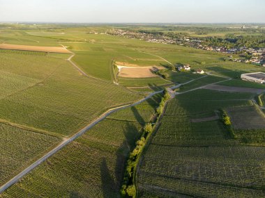 Şampanyalı Ay-Champange, Vallee de la Marne köyü yakınlarındaki Grand Cru tepe üzüm bağlarında yetişen pinot noir üzümlerinin hava manzarası, Fransa 'nın şampanya bölgesi, sıra sıra üzüm bitkileri, günbatımı
