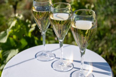 Kuru, köpüklü şarap brut, büyük rezervler, yeşil tepe üzüm bağlarında şampanya ve Vallee de la Marne, Fransa 'nın Şampanya Bölgesi' nde köy yapımı eski şaraplar.