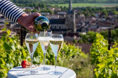 Kuru, köpüklü şarap brut, büyük rezervler, yeşil tepe üzüm bağlarında şampanya ve Vallee de la Marne, Fransa 'nın Şampanya Bölgesi' nde köy yapımı eski şaraplar.