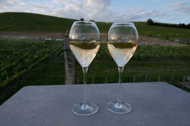 Beyaz şarap brut, büyük rezervler, yeşil üzüm bağlarında şampanya eski şaraplarda büyük Cru Ay-Şampanya köyü Vallee de la Marne 'da, şampanya, Fransa' da günbatımında, düğün konsepti