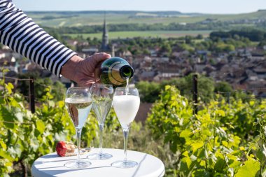 Kuru, köpüklü şarap brut, büyük rezervler, yeşil tepe üzüm bağlarında şampanya ve Vallee de la Marne, Fransa 'nın Şampanya Bölgesi' nde köy yapımı eski şaraplar.